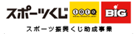 スポーツくじ toto BIG